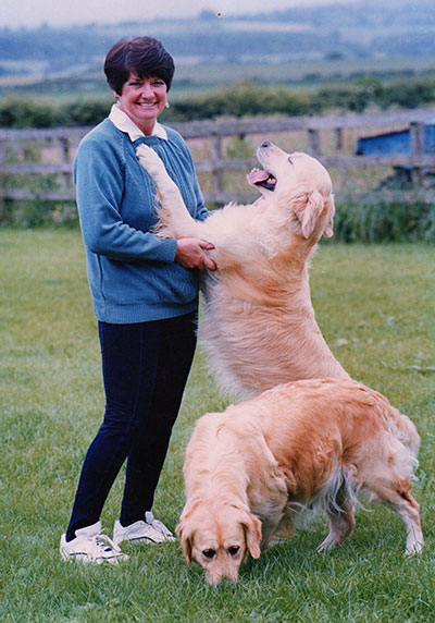 Amirene Golden Retrievers